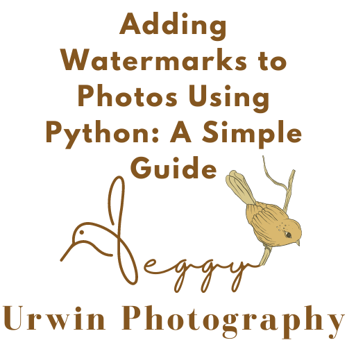 Adding Watermarks to Photos Using Python | A Simple Guide