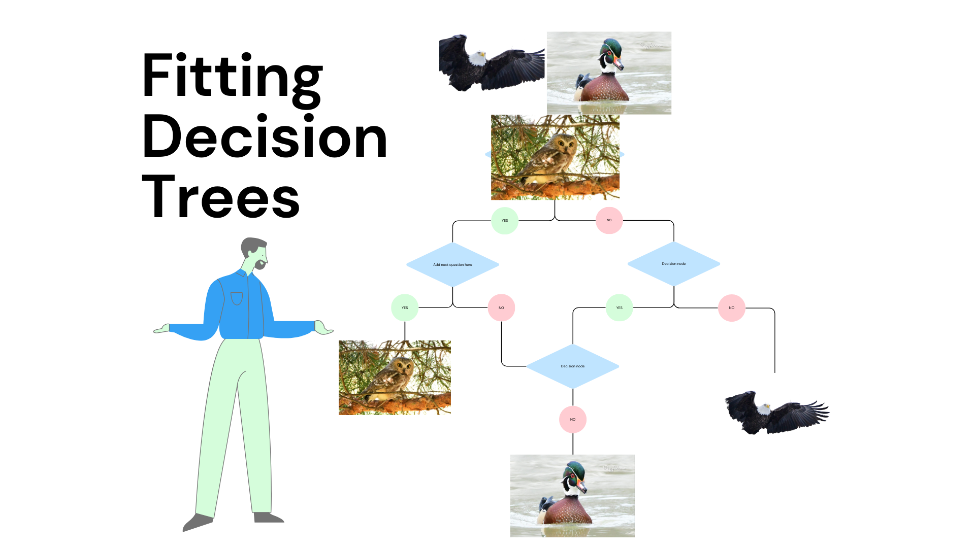 Data Science Videos | Decision Trees to Predict a Myocardial Rupture