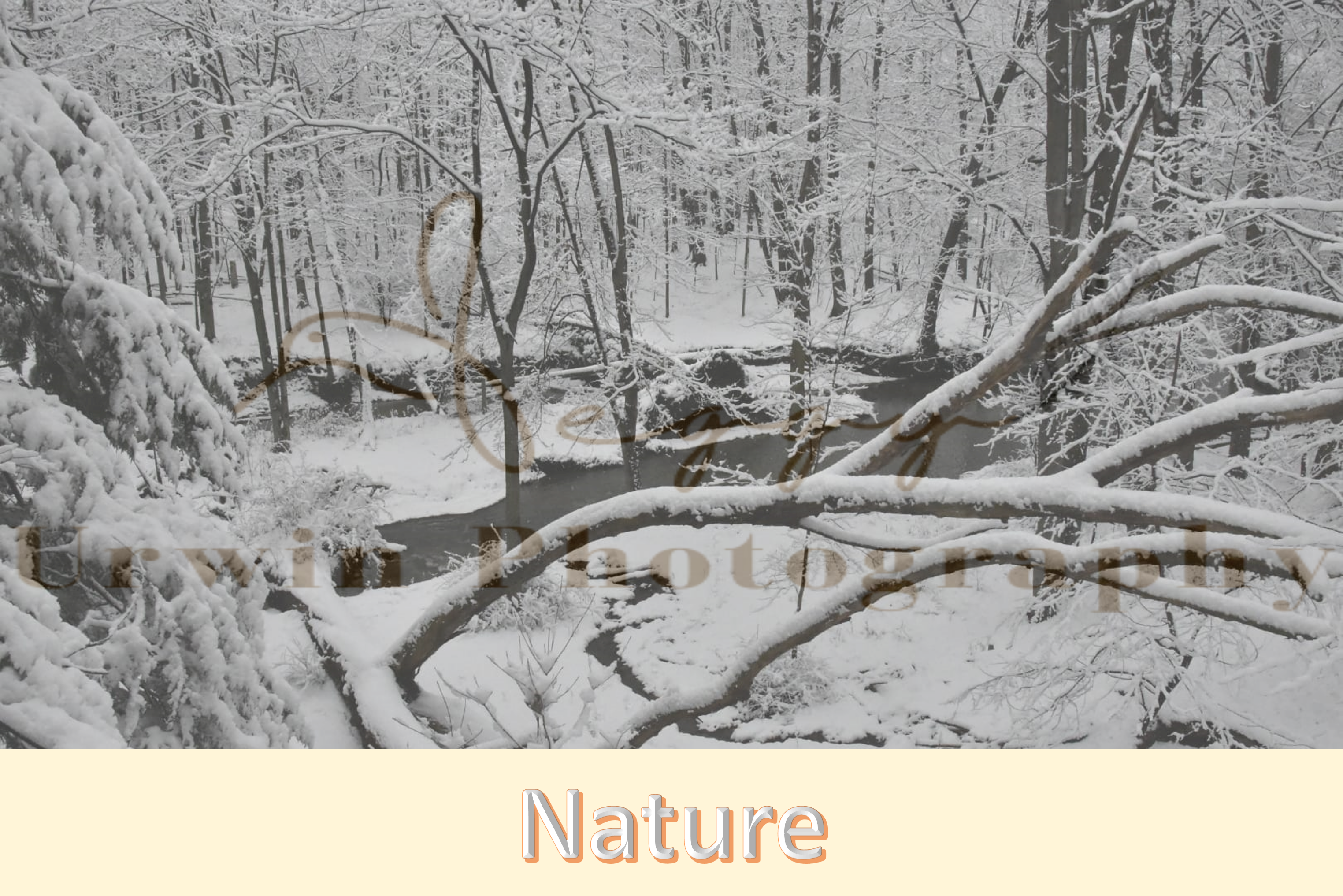 Nature photography | Winter River