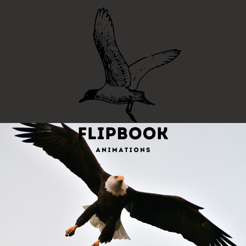 Flipbooks